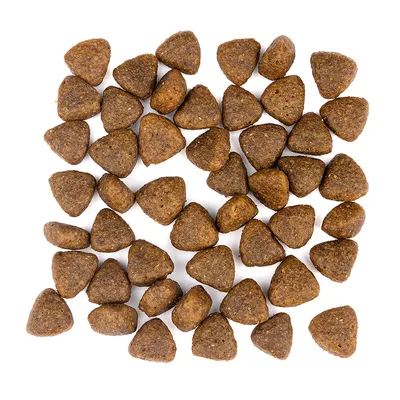 Wolfsblut - Wide Plain - Limited Ingredients Adult Trockenfutter für Hunde Wolfsblut - Wide Plain - Limited Ingredients Adult Trockenfutter für Hunde