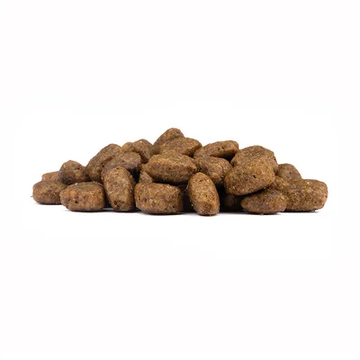 Wolfsblut - Wide Plain - Limited Ingredients Adult Trockenfutter für Hunde Wolfsblut - Wide Plain - Limited Ingredients Adult Trockenfutter für Hunde