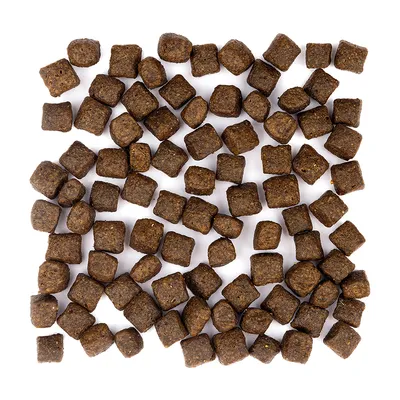Wolfsblut - Wild Duck - Limited Ingredients Puppy Trockenfutter für Hunde Wolfsblut - Wild Duck - Limited Ingredients Puppy Trockenfutter für Hunde