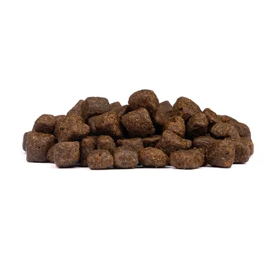 Wolfsblut - Wild Duck - Limited Ingredients Puppy Trockenfutter für Hunde Wolfsblut - Wild Duck - Limited Ingredients Puppy Trockenfutter für Hunde