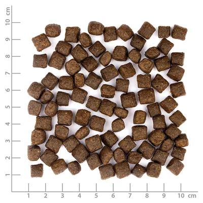 Wolfsblut - Wild Duck - Limited Ingredients Puppy Trockenfutter für Hunde Wolfsblut - Wild Duck - Limited Ingredients Puppy Trockenfutter für Hunde