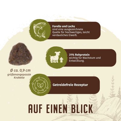 Wolfsblut - Cold River - Puppy Trockenfutter für Hunde