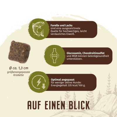 Wolfsblut - Cold River - Senior Trockenfutter für Hunde