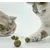 Kater Kasimir Boules à l'herbe à chat (lot de 10) Kater Kasimir Boules à l'herbe à chat (lot de 10)
