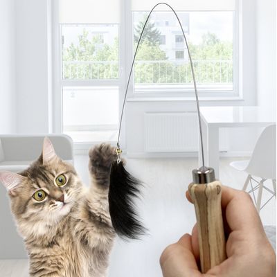 Kater Kasimir Cane à jouer pour chat avec peau de chèvre