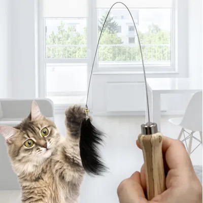 Kater Kasimir Cane à jouer pour chat avec peau de chèvre Kater Kasimir Cane à jouer pour chat avec peau de chèvre