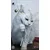 Cane à jouer pour chat « Kater Kasimir » avec 4 jouets Cane à jouer pour chat « Kater Kasimir » avec 4 jouets