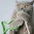 Kater Kasimir canne à pêche Rangelangel Kater Kasimir canne à pêche Rangelangel