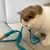 Kater Kasimir canne à pêche Rangelangel Kater Kasimir canne à pêche Rangelangel