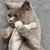 Kater Kasimir, Souris jouet pour chats, Mäuserich Kater Kasimir, Souris jouet pour chats, Mäuserich