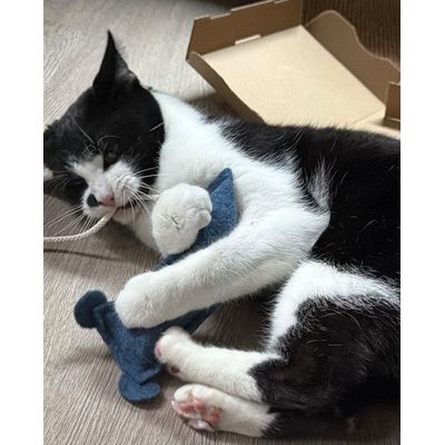 Kater Kasimir Spielmaus für Katzen, Mäuserich