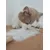 Kater Kasimir Jouet à plumes pour chats Kater Kasimir Jouet à plumes pour chats
