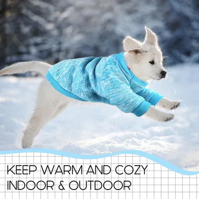 ZooVenture Warmer Hundepullover – 100 % Polyester, Größe M ZooVenture Warmer Hundepullover – 100 % Polyester, Größe M