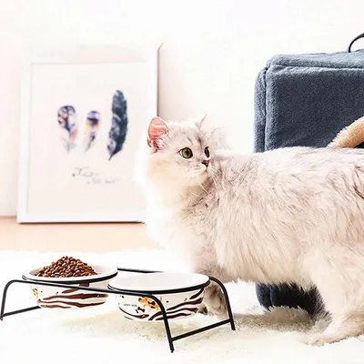 FurryFusion Doppelter Keramiknapf für Katzen und Hunde