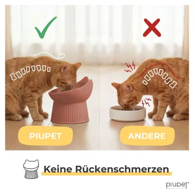 PiuPet® Ergonomischer Futternapf I schnurrhaar freundlich I rutschfest PiuPet® Ergonomischer Futternapf I schnurrhaar freundlich I rutschfest