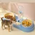 ZooVenture 3-in-1 Katzen-Wasserspender – Näpfe, 15° ZooVenture 3-in-1 Katzen-Wasserspender – Näpfe, 15°