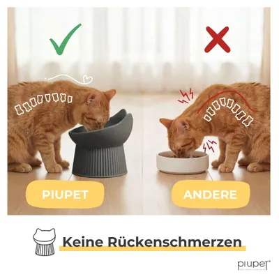 PiuPet® Ergonomischer Futternapf I schnurrhaar freundlich I rutschfest PiuPet® Ergonomischer Futternapf I schnurrhaar freundlich I rutschfest