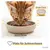 PiuPet® Futternapf 2er Set I rutschfester Katzennapf I 230ml PiuPet® Futternapf 2er Set I rutschfester Katzennapf I 230ml