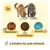 PiuPet® Futternapf 2er Set I rutschfester Katzennapf I 230ml PiuPet® Futternapf 2er Set I rutschfester Katzennapf I 230ml