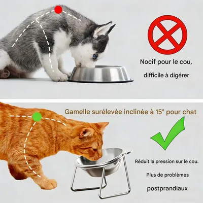 FurryFusion 304 Edelstahlnapf für Hunde und Katzen