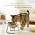 FurryFusion 304 Edelstahlnapf für Hunde und Katzen