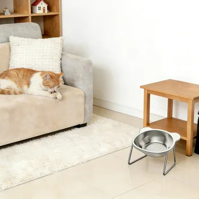 FurryFusion 304 Edelstahlnapf für Hunde und Katzen