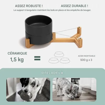FurryFusion Doppelter Keramiknapf für Katzen und Hunde