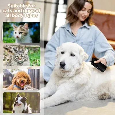 Brosse toilettage chien/chat démêlage poils morts sous-poil