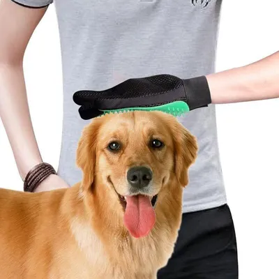 Gant toilettage chien/chat réutilisable