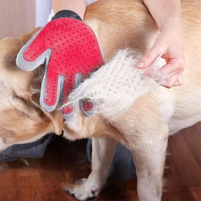 Gant toilettage animal, brosse massage épilation, droitier