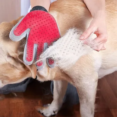 Gant toilettage animal, brosse massage épilation, droitier Gant toilettage animal, brosse massage épilation, droitier