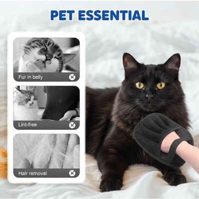 Gants anti-poils réutilisables canapé tapis siège chien/chat