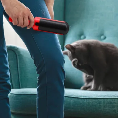 Rouleau anti-poils réutilisable chien/chat maison