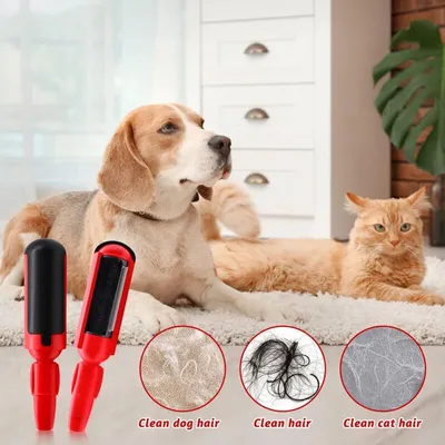 Rouleau anti-poils réutilisable chien/chat maison