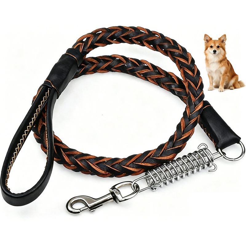 ZooVenture Echtleder-Leinehalsband-Paket