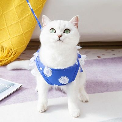 Pawffee Hundegeschirr mit Leine klein blau, Blumenmuster, Schleife, Kleid