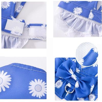 Pawffee Hundegeschirr mit Leine klein blau, Blumenmuster, Schleife, Kleid