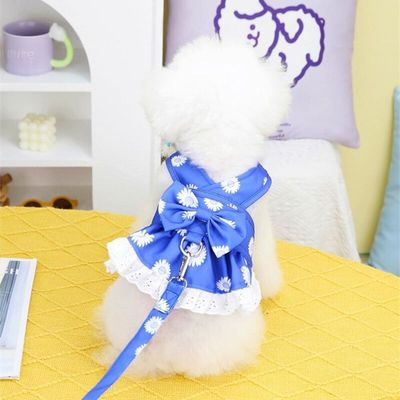 Pawffee Hundegeschirr mit Leine klein blau, Blumenmuster, Schleife, Kleid