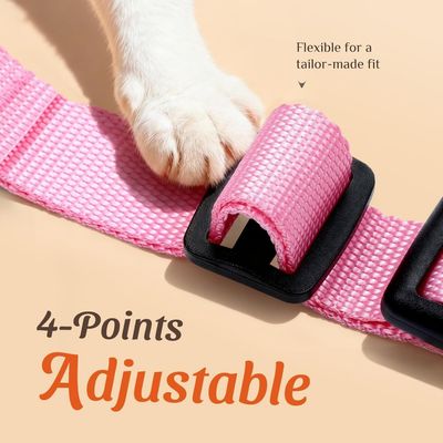 ZooVenture Arnés reflectante ajustable para gatos