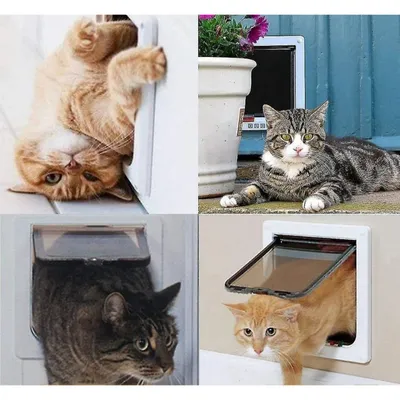 Pawffee Gatera magnética XL blanca – Túnel integrado gatos perros pequeños