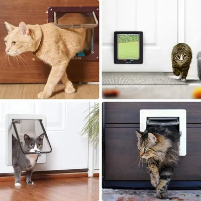 Pawffee Gatera blanca M de 4 vías – apertura magnética con túnel integrado