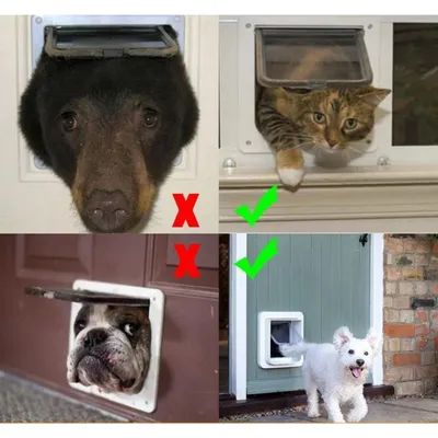 Pawffee Gatera de 4 posiciones: puerta para gatos/perros túnel cerradura Pawffee Gatera de 4 posiciones: puerta para gatos/perros túnel cerradura