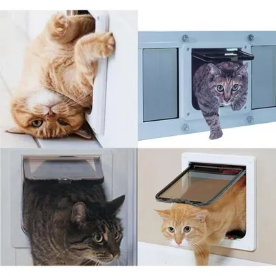 Pawffee Gatera de 4 posiciones: puerta para gatos/perros túnel cerradura Pawffee Gatera de 4 posiciones: puerta para gatos/perros túnel cerradura