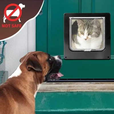 Pawffee Gatera magnética negra grande para gatos y perros pequeños Pawffee Gatera magnética negra grande para gatos y perros pequeños