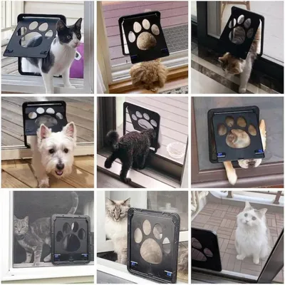 Pawffee Puerta batiente Latauar gatos perros, 24x29x1cm, ABS/Malla, Negra Pawffee Puerta batiente Latauar gatos perros, 24x29x1cm, ABS/Malla, Negra