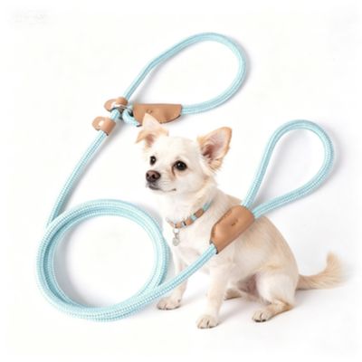 ZooVenture Halsbandlose Leine – Nylon, Griff, reflektierend