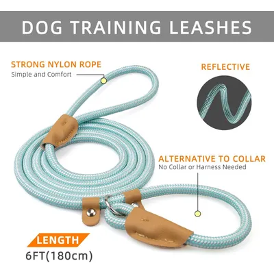 ZooVenture Halsbandlose Leine – Nylon, Griff, reflektierend
