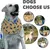 ZooVenture Halsbandlose Leine – Nylon, Griff, reflektierend