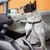 FurryFusion Cuerda reflectante anti-salto para perros miniatura FurryFusion Cuerda reflectante anti-salto para perros miniatura