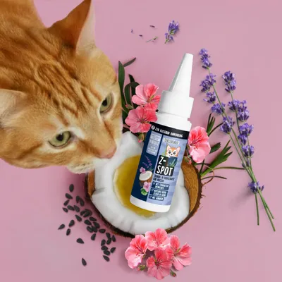 Tierliebhaber Z-Spot für Katzen Tierliebhaber Z-Spot für Katzen